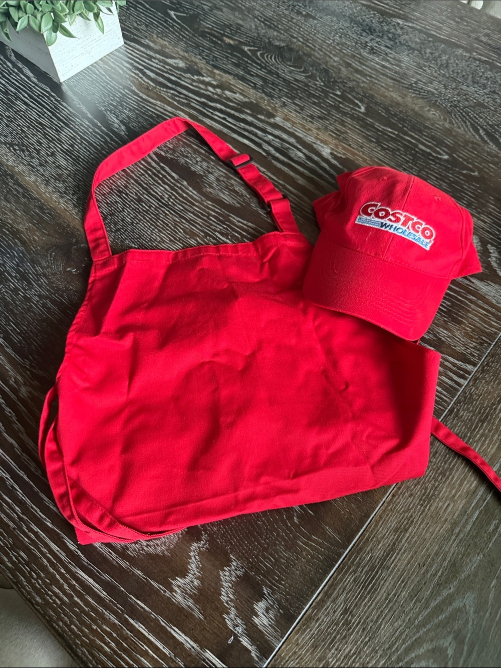 Costco Costume